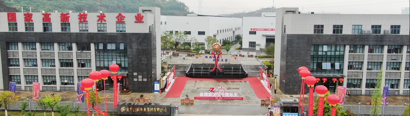 踔厲奮發(fā)三十載 同心筑夢(mèng)譜華章